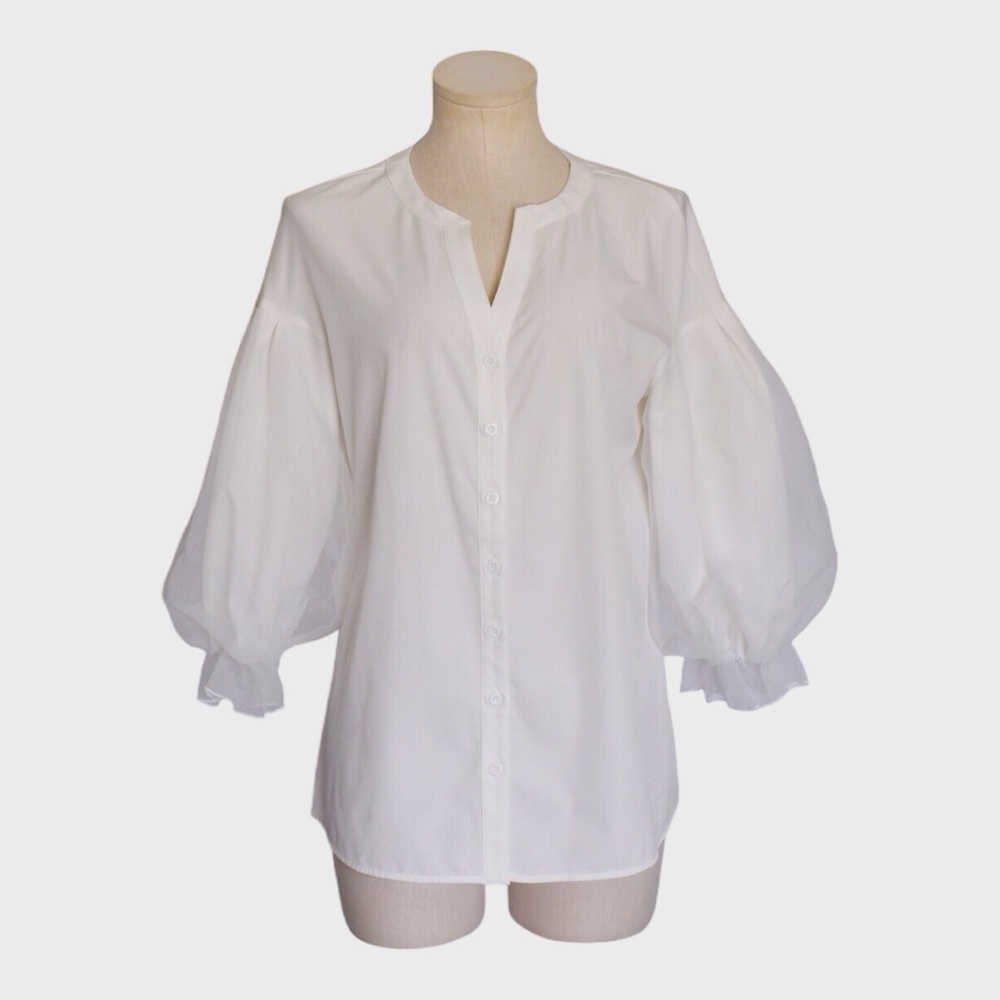 Dabuwawa Sheer‎ Puff Balloon Sleeve Blouse
